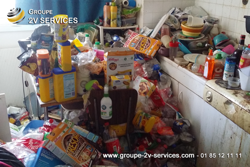 Comment debarrasser un logement suite à un syndrome de diogene ?
