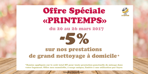 Grand nettoyage printemps 2017 2v services reduction promotion