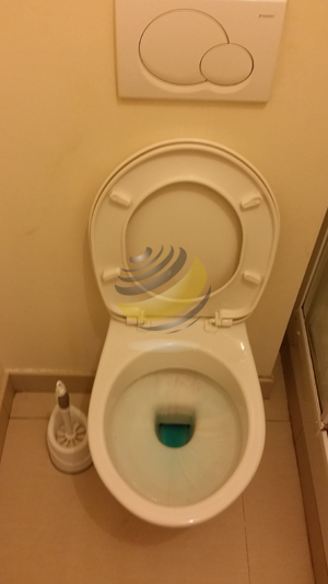 Nettoyage des WC