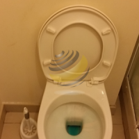 Nettoyage des WC